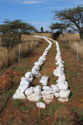 IMG-0320