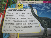 https://i.postimg.cc/w1TkK0Ym/100-8073.jpg