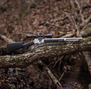 [Image: IMG-8084.jpg]