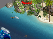 23 - swimming the depths