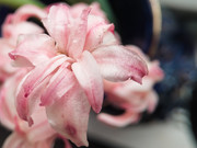 IMG-20190412-152045