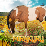 freecompress-mirakuruavatar