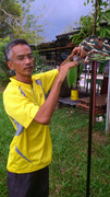 Kota-Jaya-Simpang-020313-(3)