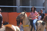 IMG-6982