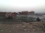 volghanhosseini (1017)