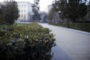 12-DSC00043