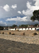 IMG-8479