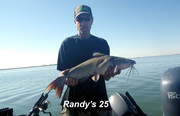 [Image: RANDY-25.jpg]