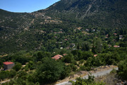 Kephalobryso-(1)