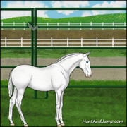 BBST Arena Side with Panel