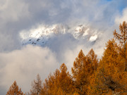 PA293182