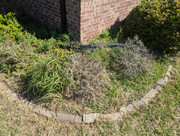 PXL-20230305-163609602