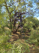 IMG_20220801_0927510