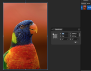 [Image: Capture-d-ecran-2026-02-25-a-07-45-14.png]