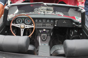 IMG-4670.jpg