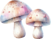 tk-Bunny-Kisses-mushrooms4