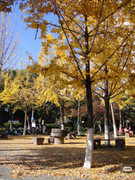 photo 4 2025 12 14 22 29 25