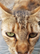 132641570_2488145794821503_7495678924365977922_n