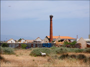 Ferragudo-storks (2)