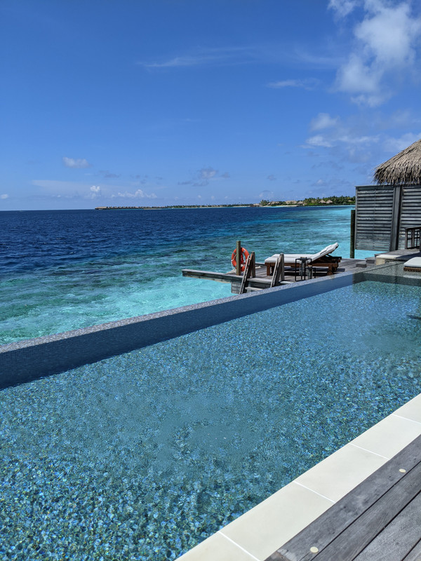 PXL_20201029_093139337 (1)