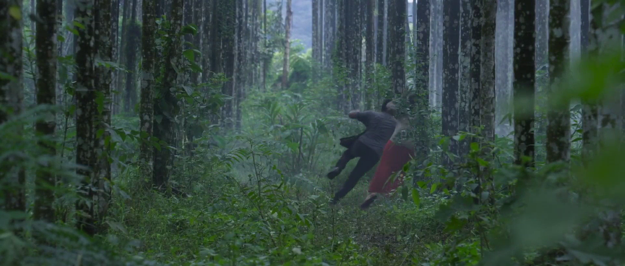 vlcsnap 2025 11 05 18h54m03s487