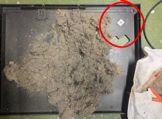[Bild: PXL-20251009-124657135-2.jpg]