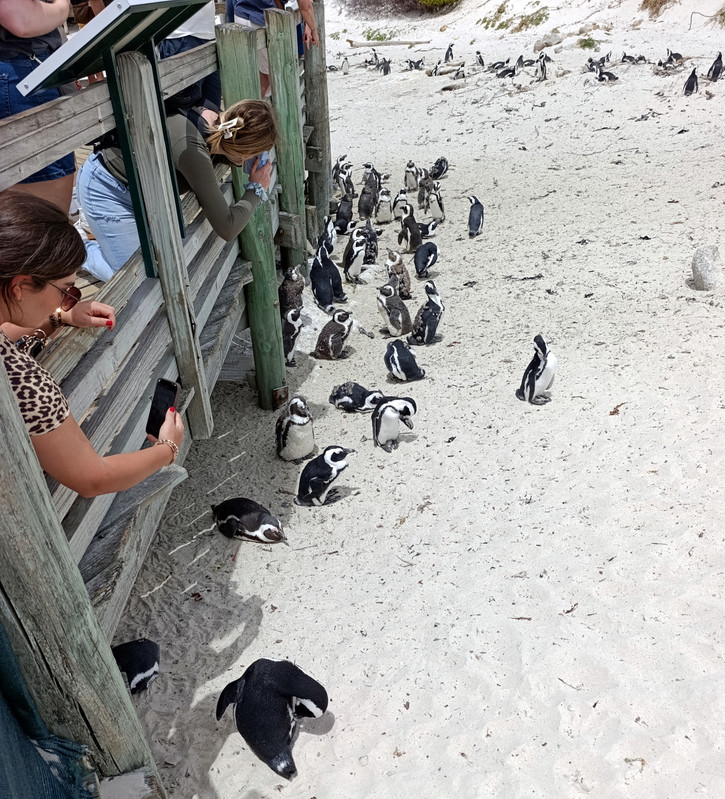 Такая близкая Африка. (ЮАР. 22 дня и 4200 км. Ноябрь-Декабрь)