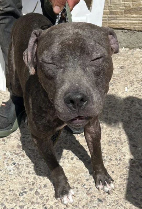 Снимок экрана 2024-06-14 в 14.46.06