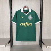 Palmeiras-I-24-25-1.jpg
