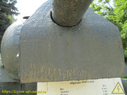 IMG-5482