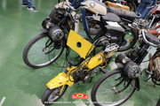 IMG-1269