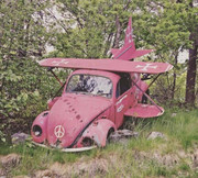 286024568_5551908441486921_2716233100519858680_n