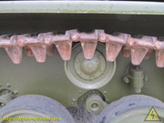 IMG-5037