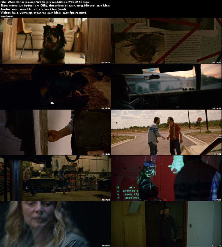Wander-2020-1080p-WEBRip-x264-AAC5-1-YTS-MX.jpg