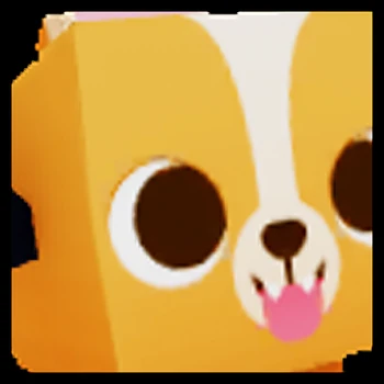 huge scary corgi