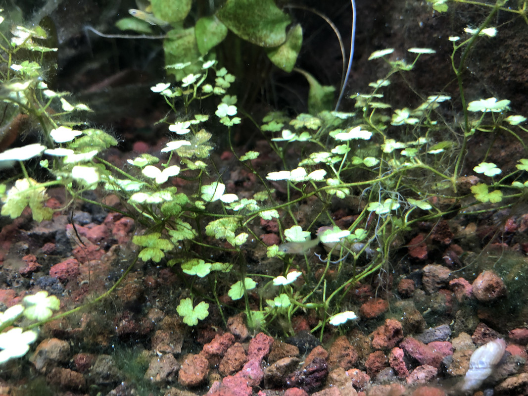 3276CFD8-6D68-48E7-AC19-F20F994C11D1