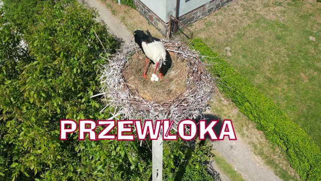 Przechwytywanie w trybie pełnoekranowym 01.06.2024 185501
