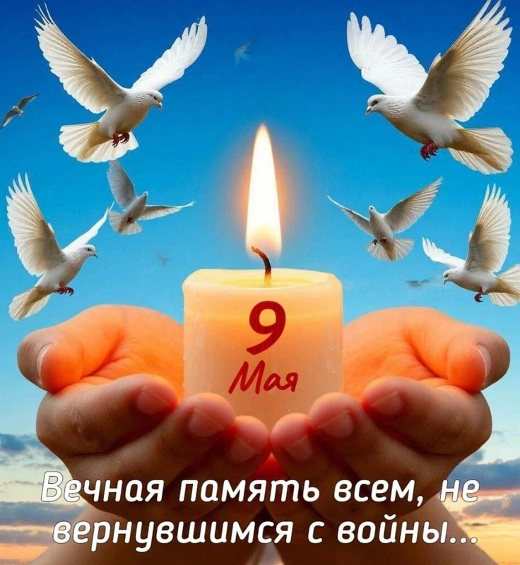 IMG-20250509-WA0003