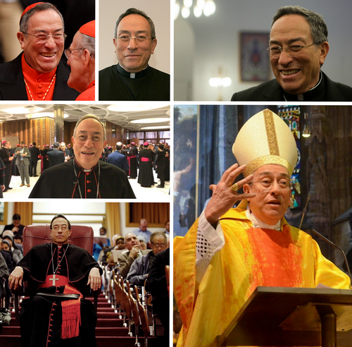 https://i.postimg.cc/w3K8hCmF/cardinal-mini.png