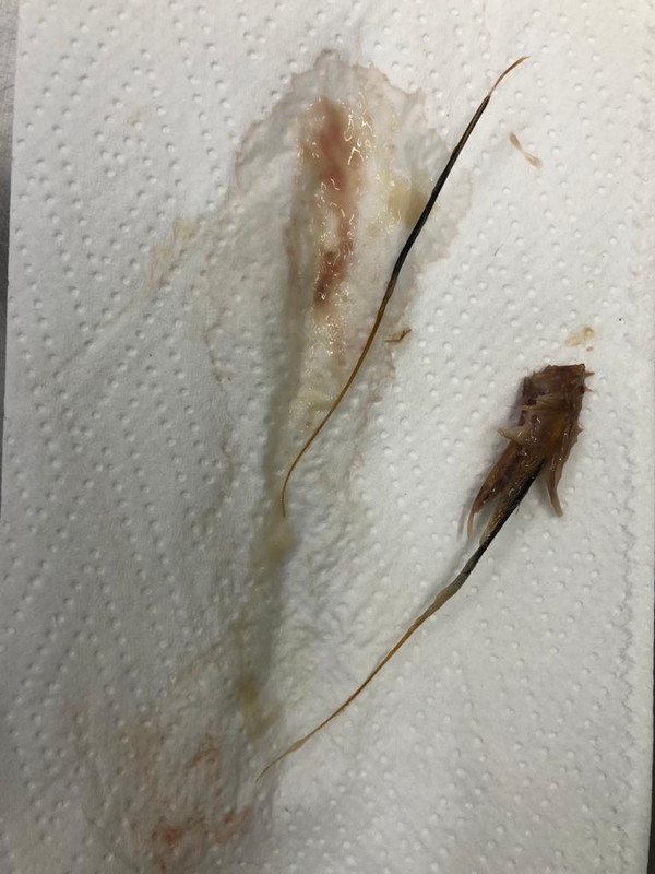 A6543CA1-720F-45A6-80F8-AA6D4D5AC973