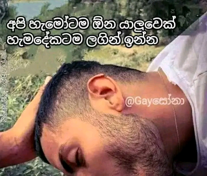 1664115780430.jpg