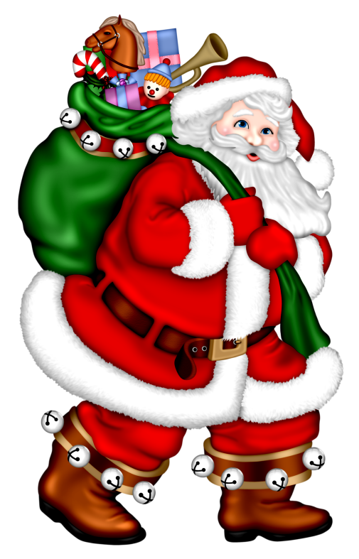 Christmasswishoffairydnnoel