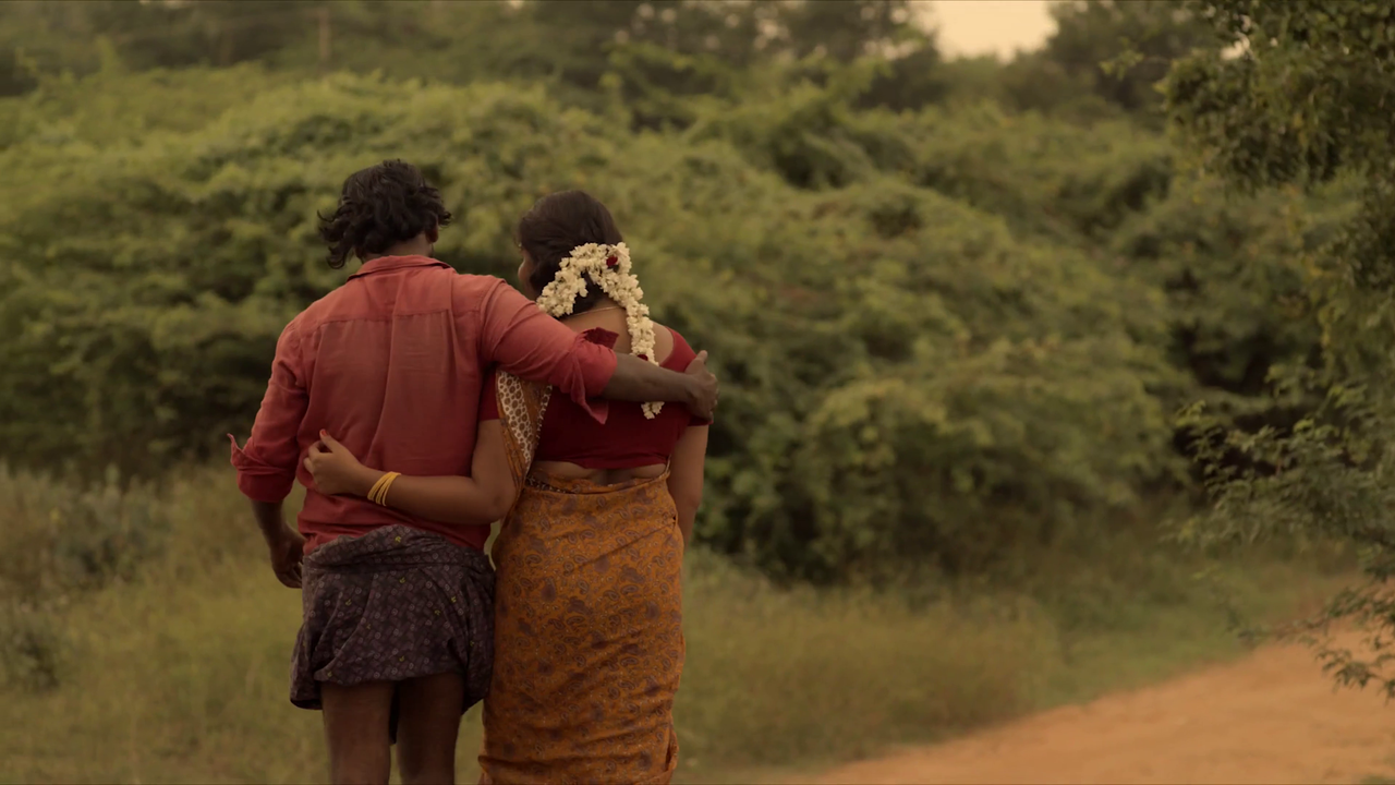 vlcsnap 2026 02 23 18h07m53s600