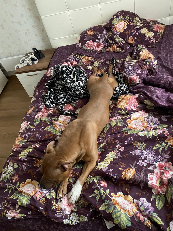 3506B8E4-0191-4665-8DF0-DDBFB6A576FF