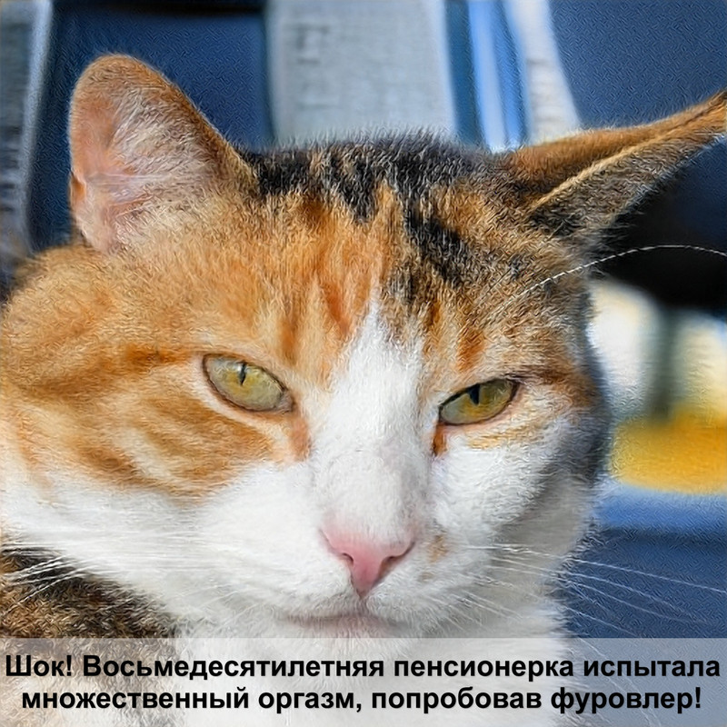 какая кошка самая опасная