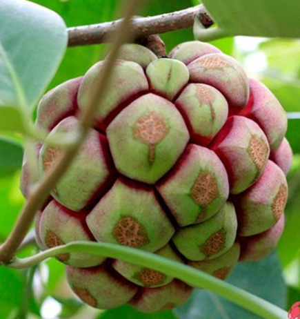 6WM$4)2{H@}Q@PSDOIEGTRS