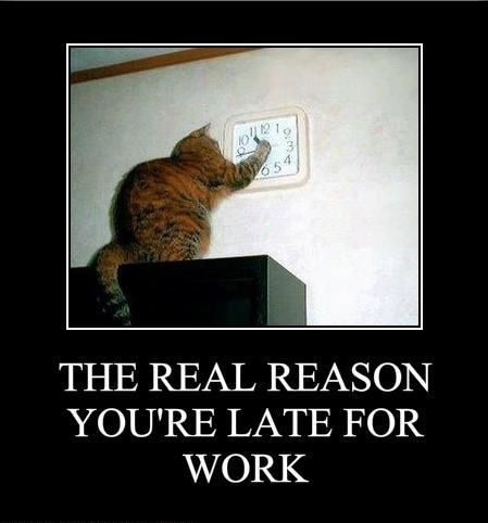 The-Real-Reason-Youre-Late-For-Work-Funny-Stupid-Picture.jpg