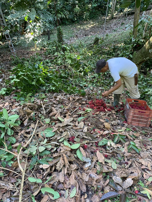 FD793592-B882-48C6-B4FF-061232D4F504