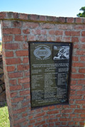 DSC-0328