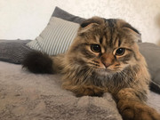 cc5164b4-7082-4fad-8e20-6c73efc53d8c